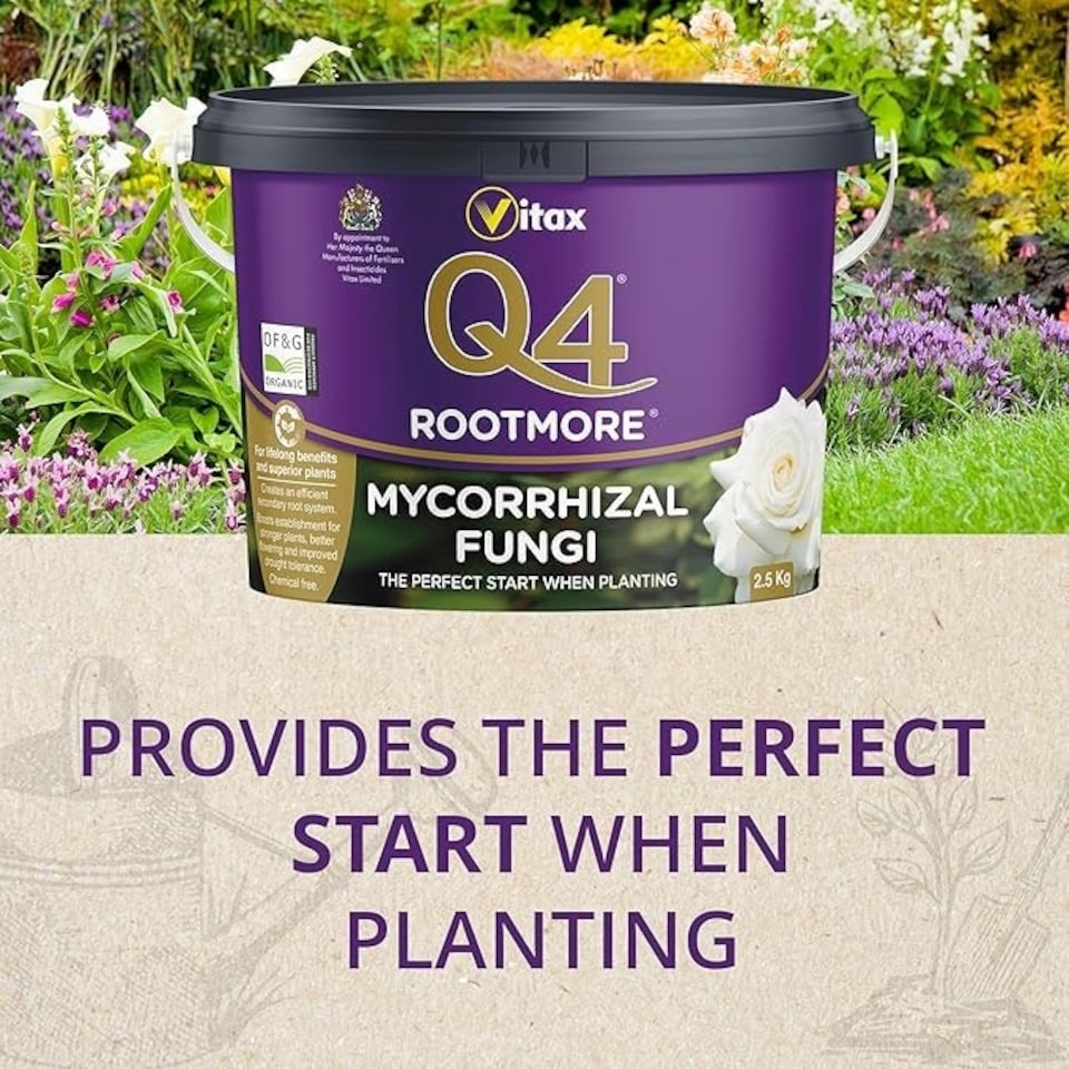 image 1 of Mycorrhizal Fungi Q4 Rootmore 2.5kg Tub