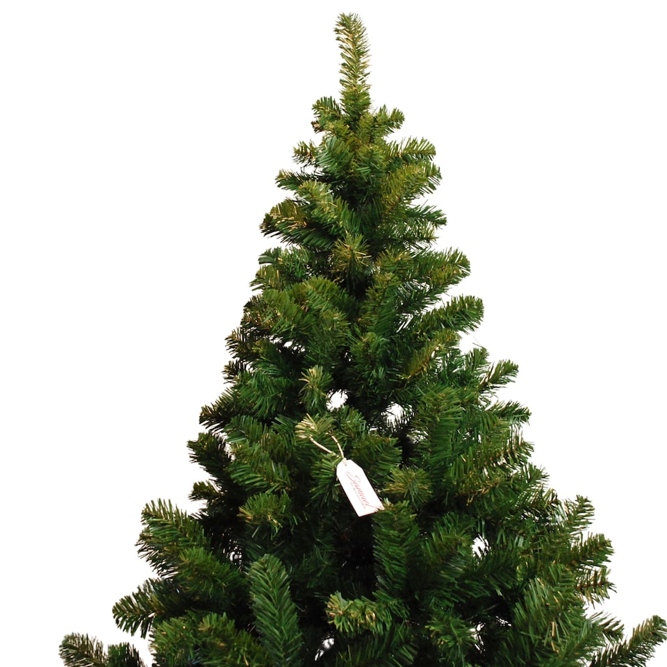 image 1 of 7ft (210cm) Samuel Alexander Luxury Green Christmas Tree 770 Tips 137cm Wide | Green | Green