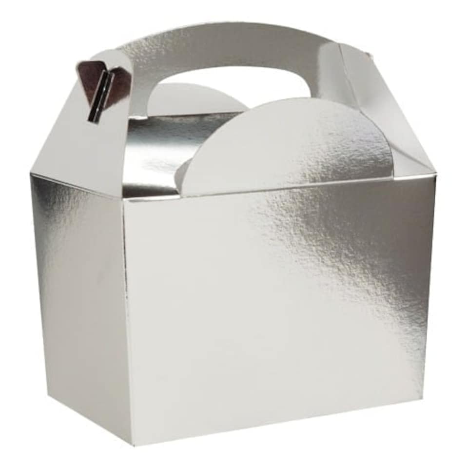 Metallic Silver Party Box