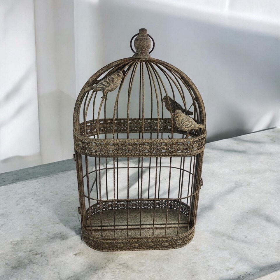 image 1 of Garden Mirror Cage - Metal - L10 x W34 x H60 cm