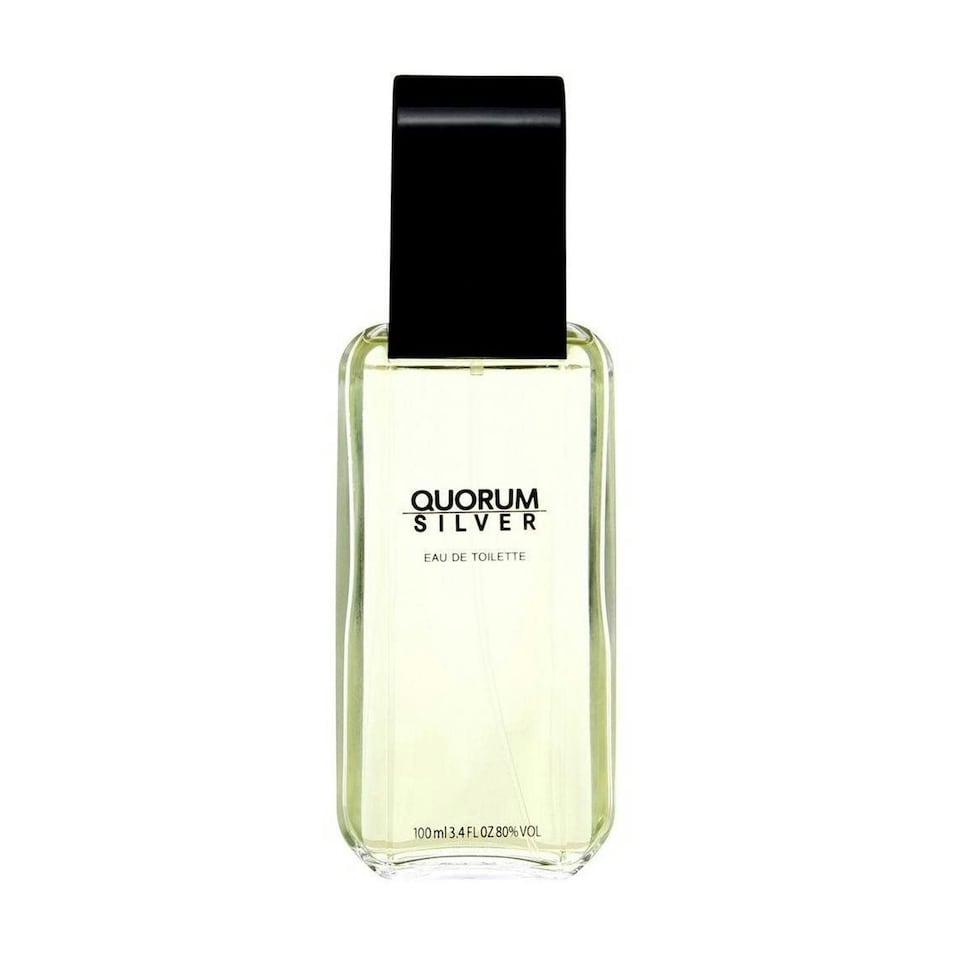 Antonio Puig Quorum Silver 50ml Eau de Toilette Spray
