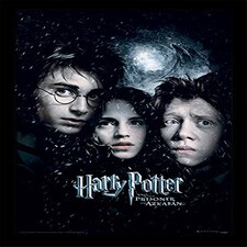 HARRY POTTER (PRISONER OF AZKABAN) &nbsp; - MEMORABILIA RANGE - FP10685P