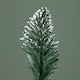 image 5 of 5ft (1.5m) Tall Rocky Mountain Pine Christmas Tree with 526 Snow Tipped Branches & Pinecones
