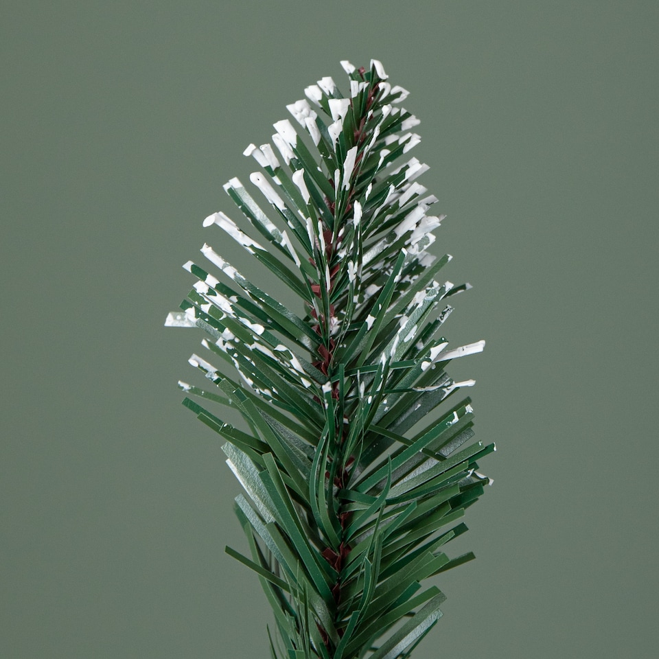 image 1 of 5ft (1.5m) Tall Rocky Mountain Pine Christmas Tree with 526 Snow Tipped Branches & Pinecones