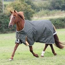 Highlander Plus Standard-Neck 50g Horse Turnout Rug - Green - 5´ 6"