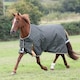 image 1 of Highlander Plus Standard-Neck 50g Horse Turnout Rug - Green - 5´ 6"