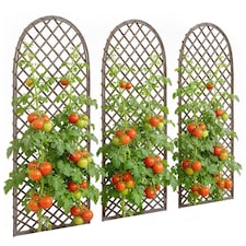 Outdoor Décor