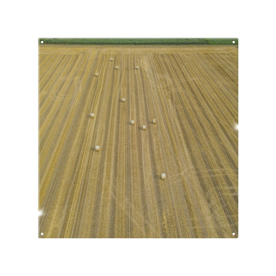 image 1 of Straw bales of wheat lying on harvested field Designer Splash Back | White