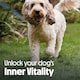 image 9 of 33 x 150g Tails.com Inner Vitality Grain-Free Adult Wet Dog Food Trays Beef