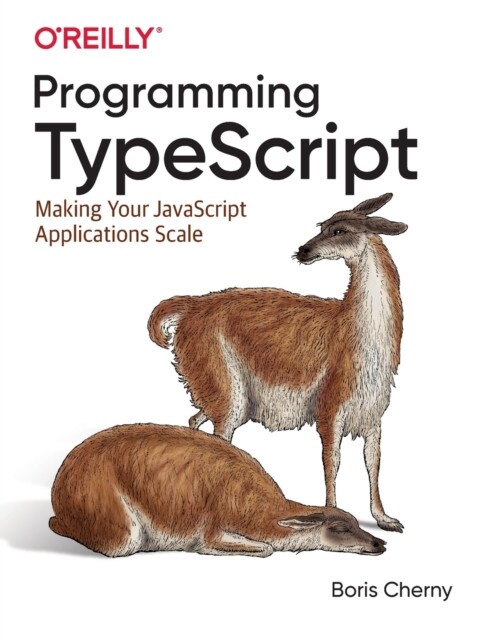 Programming TypeScript Paperback Book