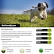 image 2 of Pegdev Pet Friendly Grass Seed Resilient High Yielding for Lawns and Pastures 10g