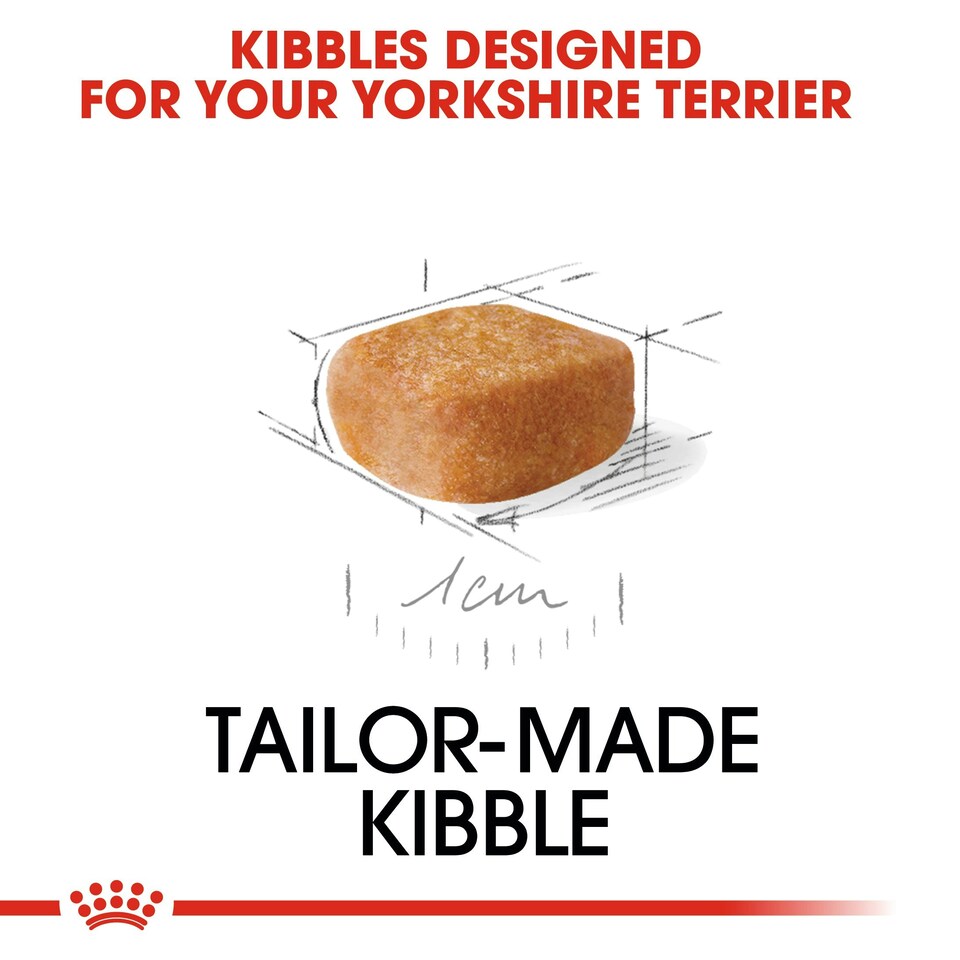 image 1 of ROYAL CANIN Yorkshire Terrier Puppy Dry Dog Food