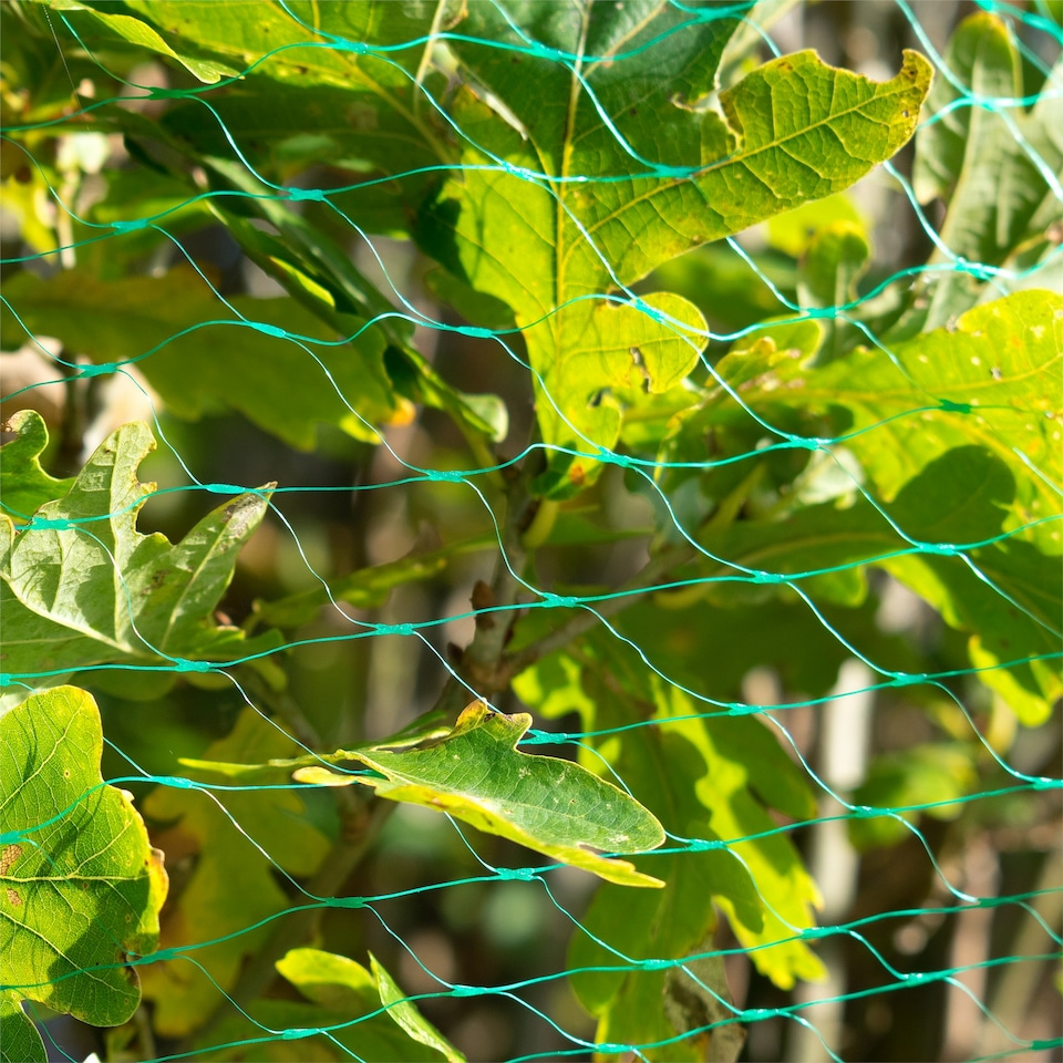 image 1 of KCT 4 x 5m Garden Pond Protective Netting