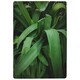 image 1 of Tropical leaves closeup, Greenhouse, Atmospheric background, Selective focus (Rug) Green | XL