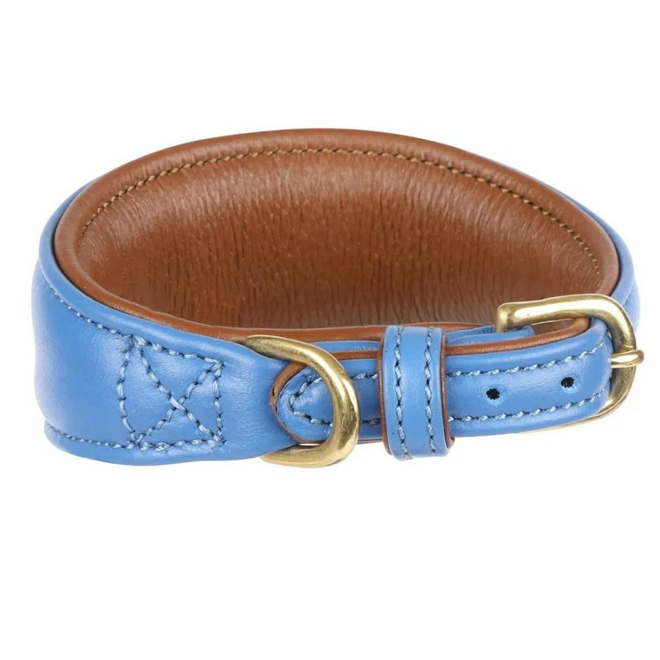 Digby & Fox Leather Padded Greyhound Dog Collar - Royal Blue - S - Neckline: 25cm-28cm