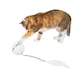 image 3 of All For Paws Interactives Rolling Laser Ball Cat Toy