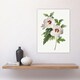 image 4 of Hibiscus Flower Illustration Redoute Vintage Huge Wall Art Print 18X24 In