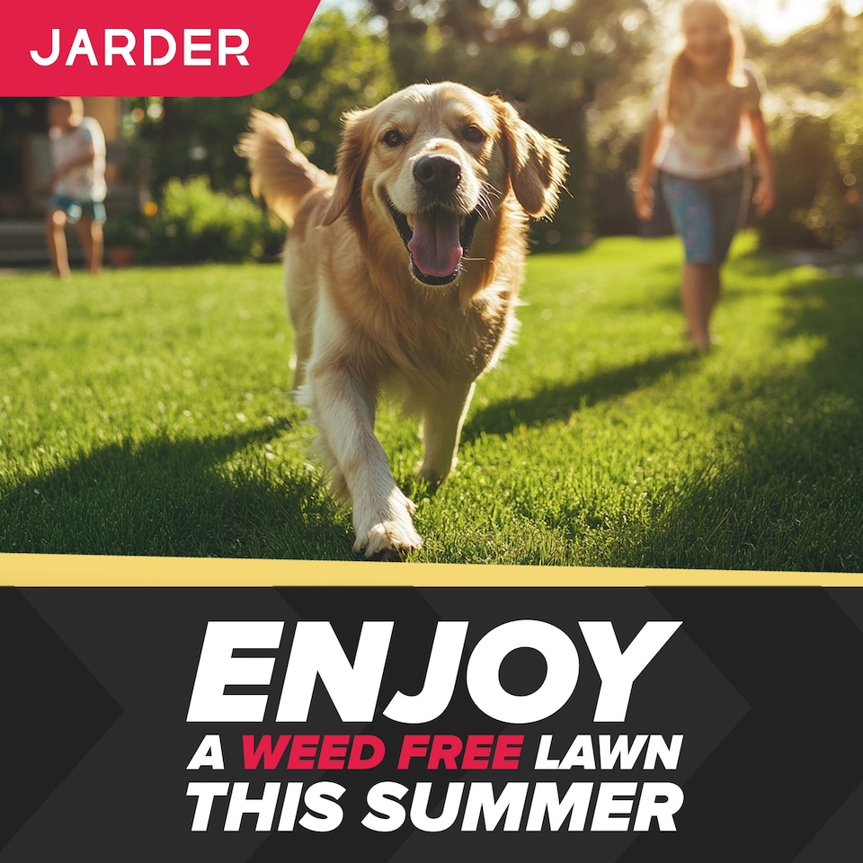image 1 of Jarder Lawn Weed Killer Spray 2 x 5L