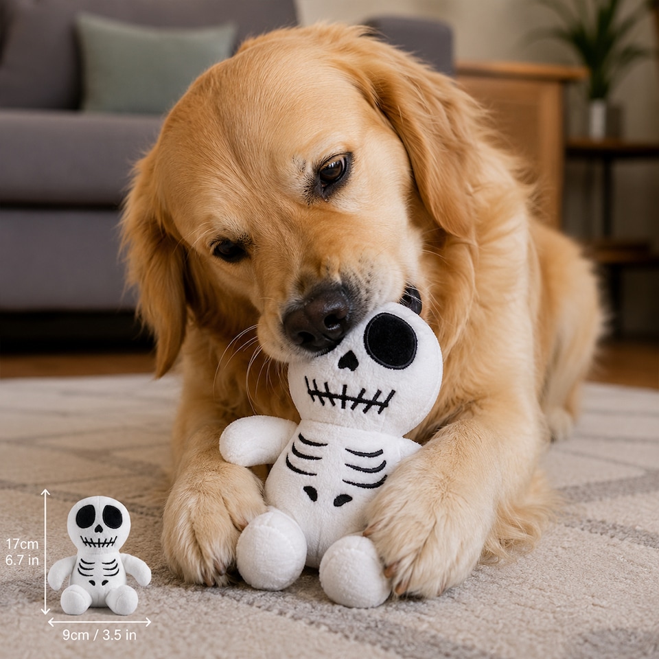 image 1 of Skeleton Plush Halloween Character Squeaky Dog Toy 17cm
