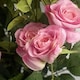 image 2 of Artificial Flowers Rose Bush Potted Deluxe Highly Realistic