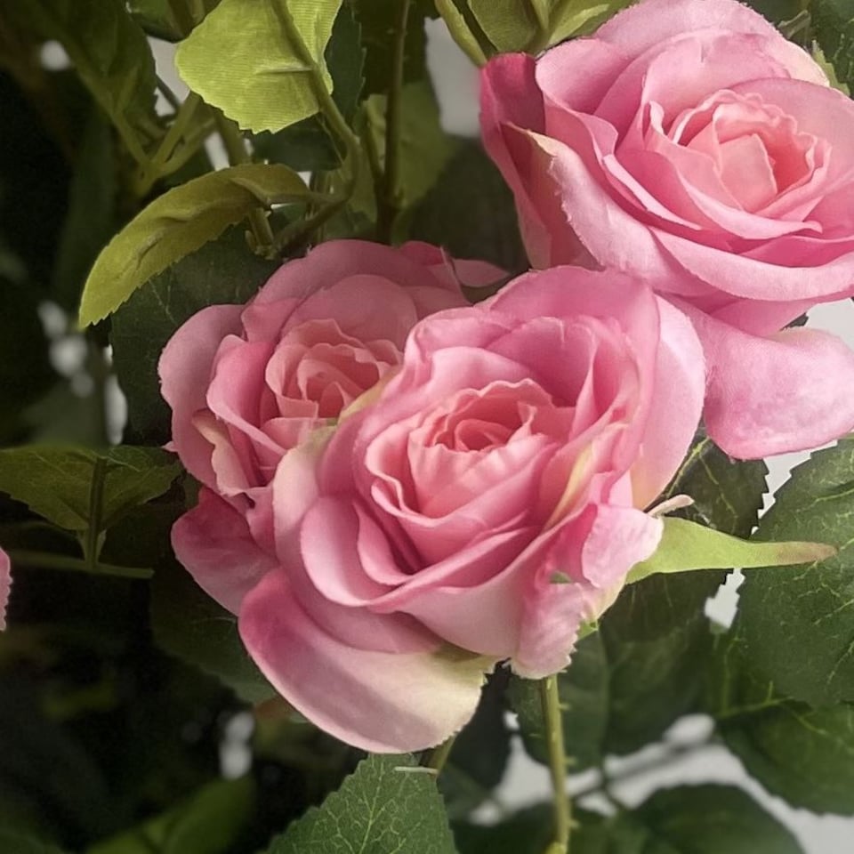image 1 of Artificial Flowers Rose Bush Potted Deluxe Highly Realistic