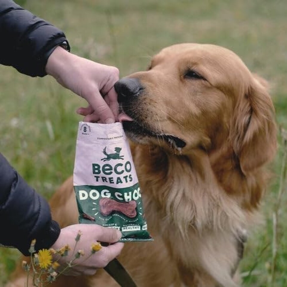image 1 of Beco Treats Dog Choc with Carob, Chamomile & Quinoa 70g