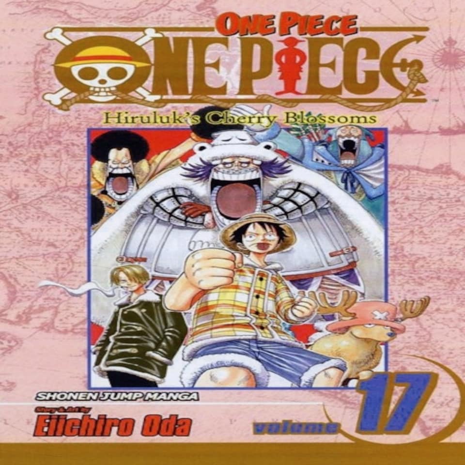 One Piece Vol. 17