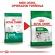 image 3 of ROYAL CANIN® Mini Adult Dry Dog Food N/A | Size: 2kg
