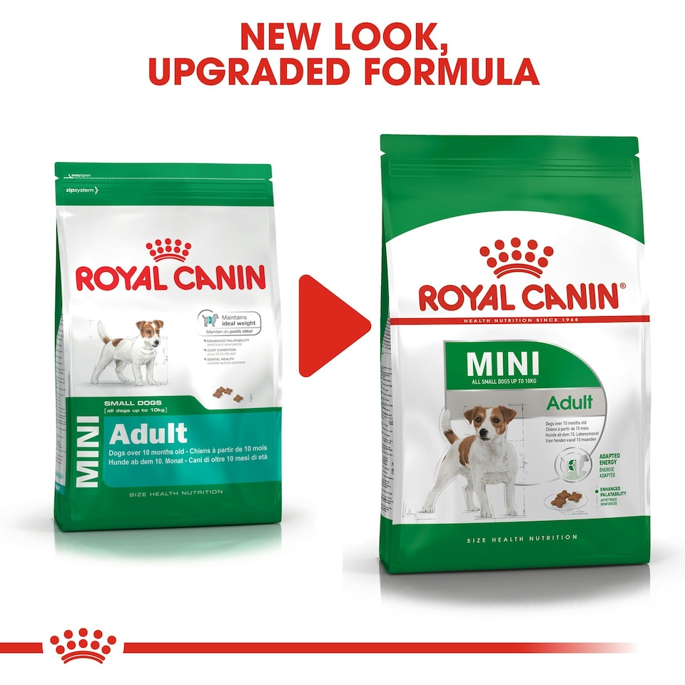 image 1 of ROYAL CANIN® Mini Adult Dry Dog Food N/A | Size: 2kg