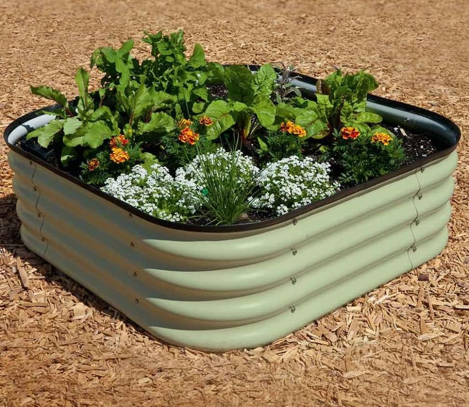 image 1 of Original Veggie Bed Sage Green Vegetable Steel Raised Planter x2 | Green