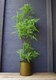 image 2 of Artificial Fern Tree Plant Natural Moss 150cm 5ft Leaf Trees Realistic Plant Botanik