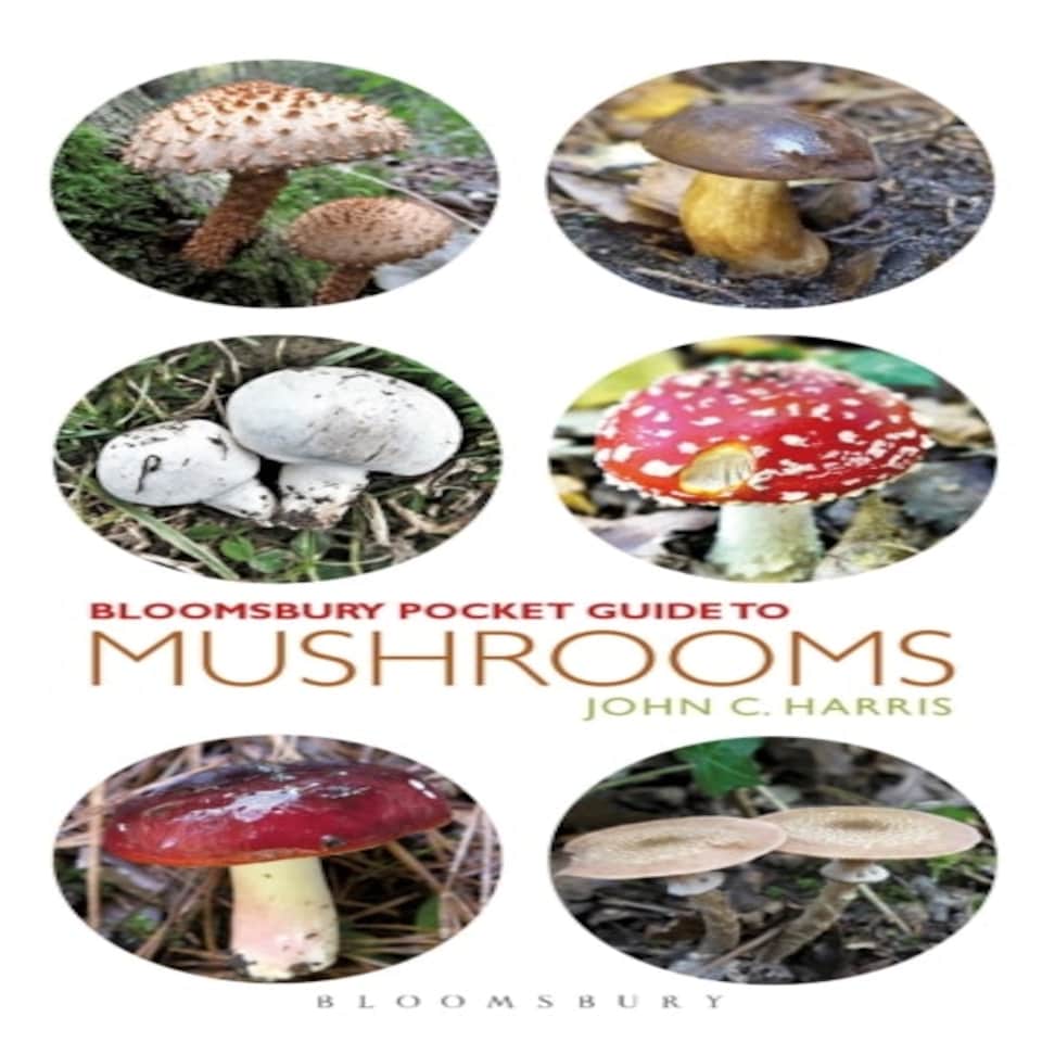 Pocket Guide To Mushrooms