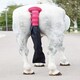 image 8 of Shires Padded Tail Guard With Bag Blue | Colour: Navy Blue
Size: One Size