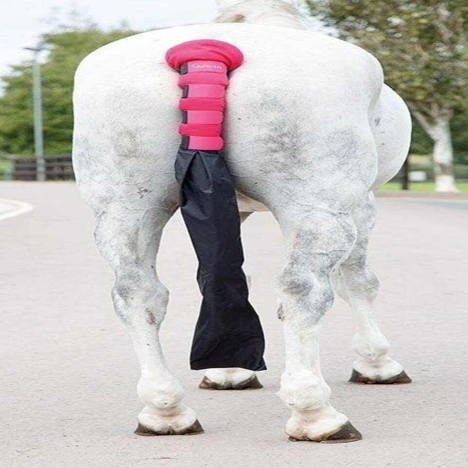 image 1 of Shires Padded Tail Guard With Bag Blue | Colour: Navy Blue
Size: One Size