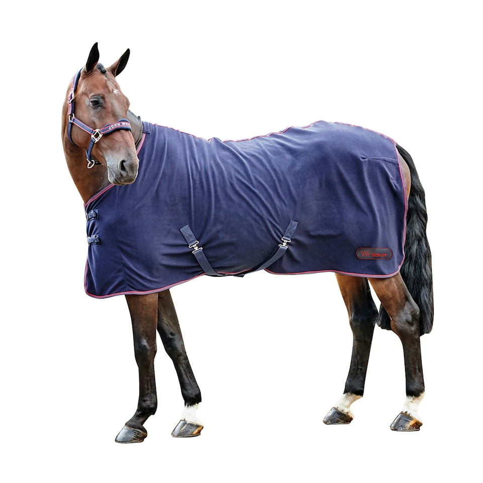 image 1 of Whitaker Rastrick Fleece Rug - Navy/Reflective - 7ft 0in