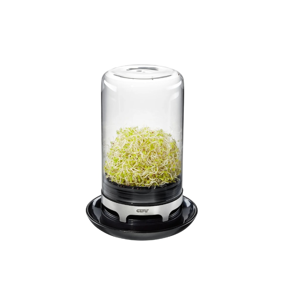 image 1 of GEFU Bivita Sprouting Jar for Fresh Homegrown Sprouts