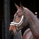 image 2 of Shires Rapida Fleece Curved Flash Noseband Brown | Size: Pony
Colour: H.Brown