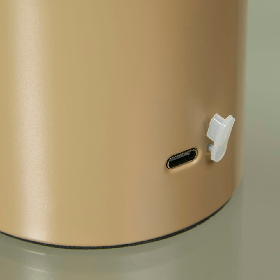 image 1 of Portable LED Mushroom Table Lamp Olive Brown