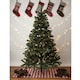 image 2 of Winter Fir Green Pre-Lit Artificial Christmas Tree - LED multi function lights - 6FT with 150 LED lights