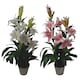 image 4 of Artificial Lily Plant Stargazer Style 90cm Pink White Pot