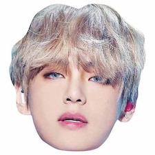 BTS K-Pop V Kim Tae-hyung Cardboard Face Mask