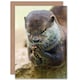 image 1 of Prayer Cute Otter Praying Hands Animal Photograph Thank You Card