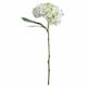 image 3 of Lace Cap Hydrangea Artificial Plant - Fabric/Plastic - L25 x W25 x H48 cm - White
