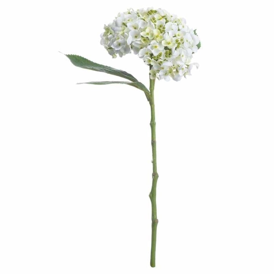 image 1 of Lace Cap Hydrangea Artificial Plant - Fabric/Plastic - L25 x W25 x H48 cm - White