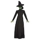 image 1 of Wicked Witch Fancy Dress Costume Ladies Medium - UK 12-14 | Green | 12