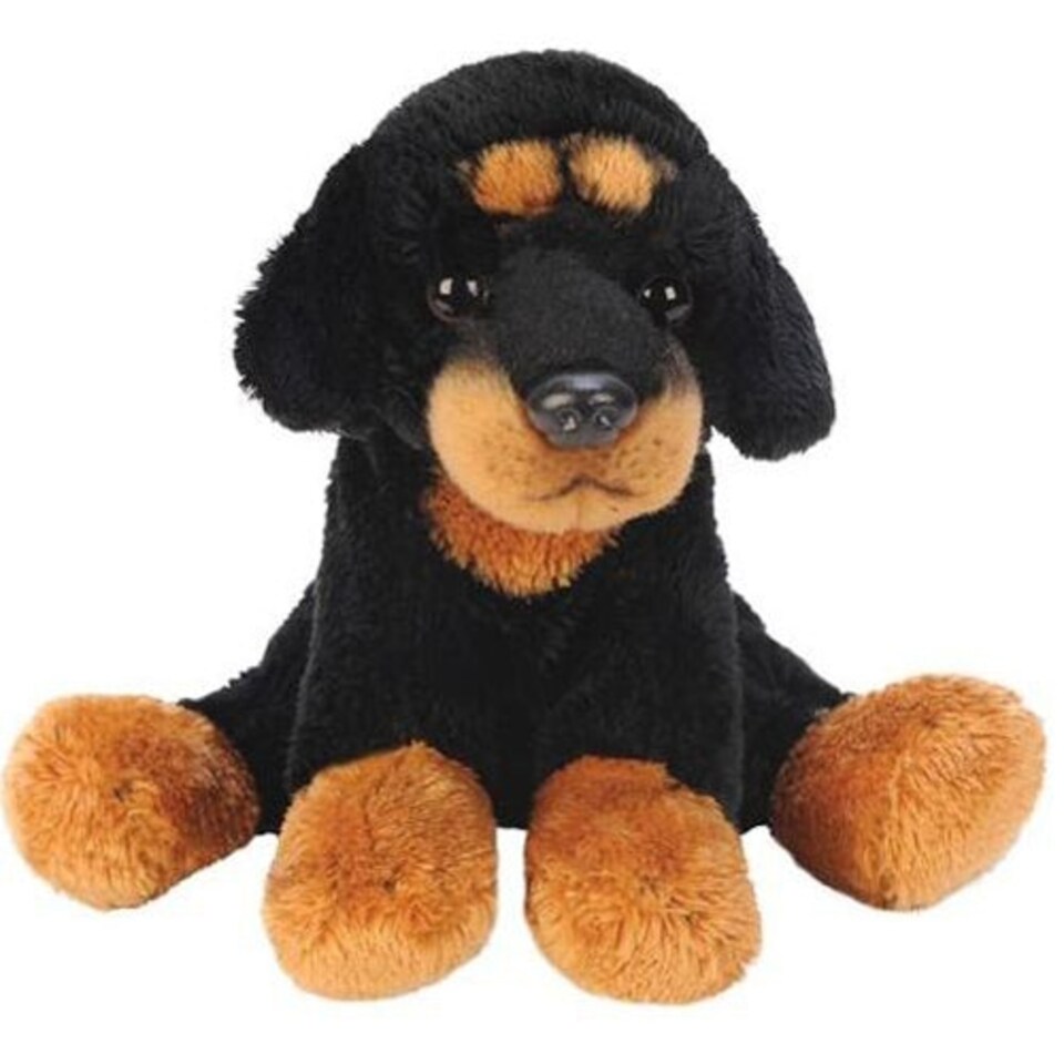 Sitting Rottweiler