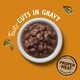 image 3 of Lily's Kitchen Cat Tasty Cuts Chicken 85g (Pack of 24)