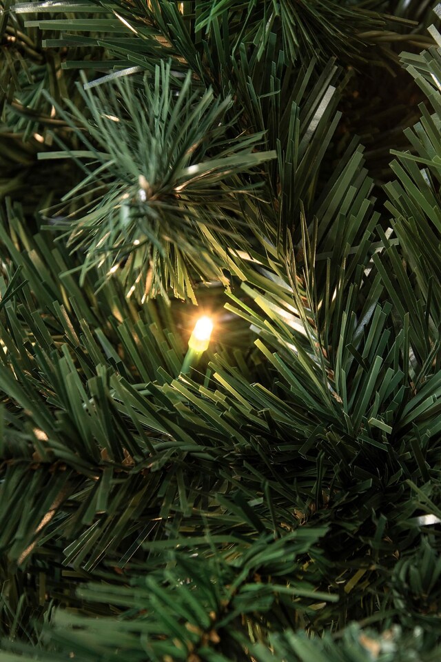 image 1 of Christmas Tree World  Pre-lit 1.4m Vanda Verde Fir Christmas Tree