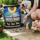 image 4 of Westland Jack's Magic All-Purpose Compost 50L