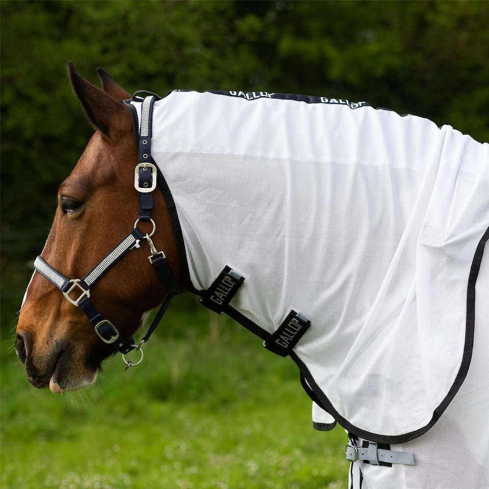 image 1 of Gallop Equestrian Dual Rug & Neck Set White | Size: 5ft 0
Colour: Black/White